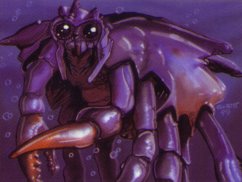 R/A4 Thick Shelled Crab